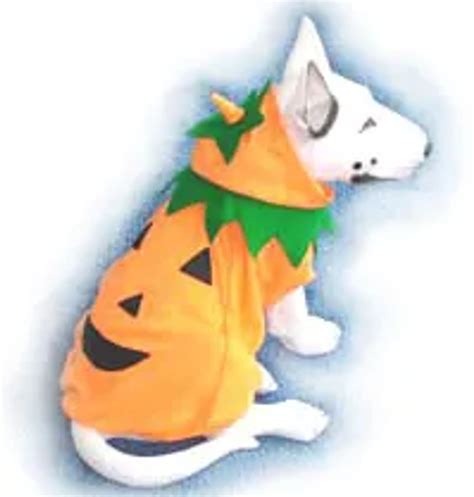 Pumpkin Dog Halloween Costume | Rockstar Puppy Boutique