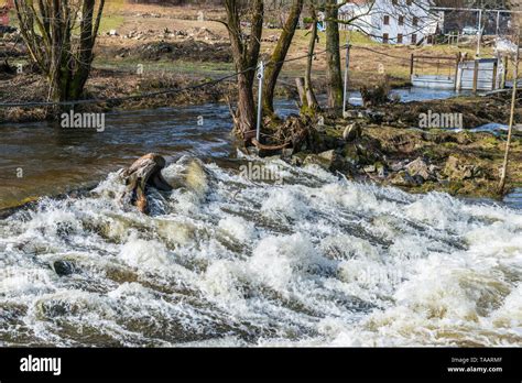 Einen Reissenden Fluss Bei Hochwasser Im Frühjahr Deutschland