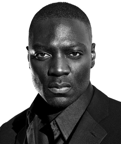 adewale akinnuoye-agbaje net worth 2024