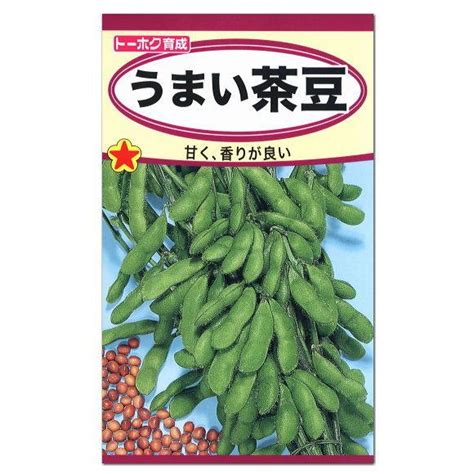 トーホク うまい茶豆 種 枝豆 生産地 北海道 えだまめ 家庭菜園 プランター栽培 エダマメのタネ たね 種子 夏野菜 メール便対応 Z57