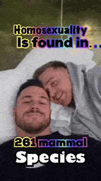 Gay Chicago Gay Chicago Discover Share GIFs