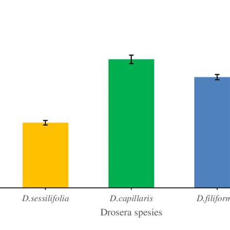 Inhibition Zone Of Drosera Sp Extract Against Staphylococcus Aureus