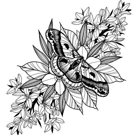 Pin On Pecados Capitais Moth Tattoo Shin Tattoo Tattoo Design