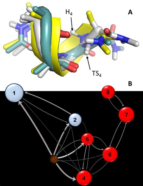 A Transitions Near The Ts Are Dominated By Conformational Dynamics At