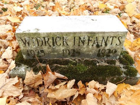 Fotos Van Infant Son Widrick Find A Grave Gedenkplek