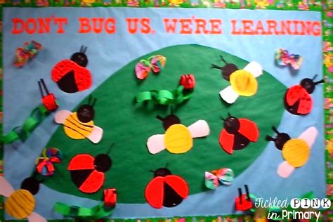 Butterfly Life Cycle Bulletin Board