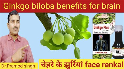 Ginkgo Biloba Benefits For Brain Ginkgo Biloba Benefits Sexually Ginkgo Biloba Benefits For