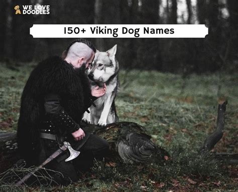 The Best 150+ Viking Dog Names!