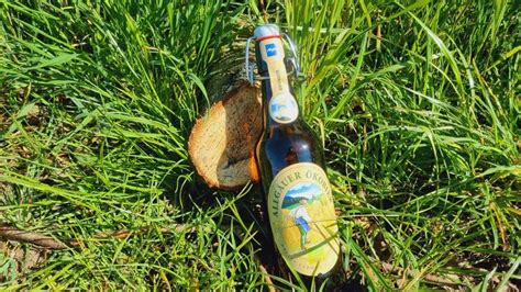 Allg Uer Kobier Helles Export Bierwertung De