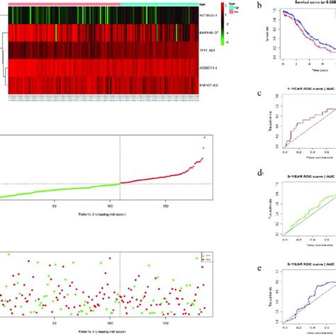 Evaluating The Efficacy Of The Five Lncrna Risk Signature In The