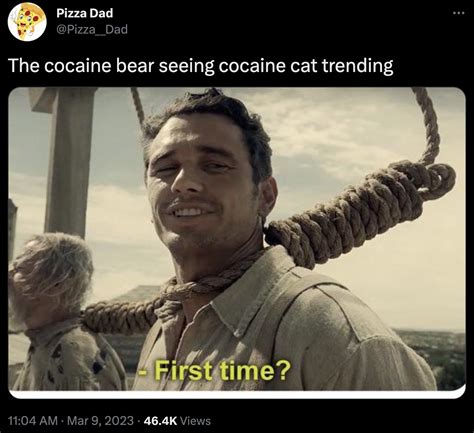 cocaine | Cocaine Cat | Know Your Meme