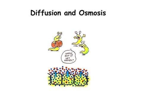 Ppt Diffusion And Osmosis Ppt