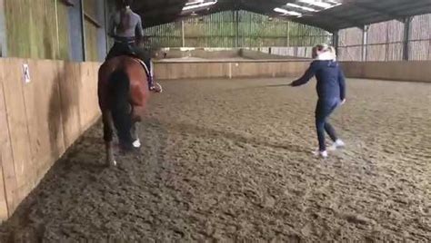 Vídeo mostra maus tratos de campeã olímpica a cavalo imagens fortes