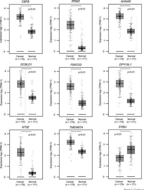 Figure From Impact Of Oncogenic Targets Controlled By Tumor