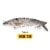 VTAVTA 10 14cm Afundando Wobblers Iscas De Pesca Articuladas Crankbait