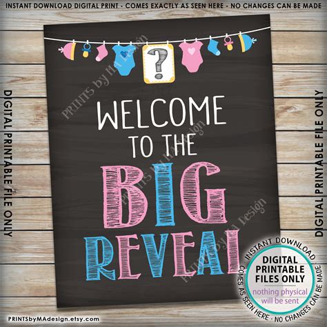 Welcome To The Big Reveal Gender Reveal Sign Pink Or Blue Gender