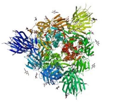 Atomic structure of the Spike protein )DOI: 10.2210/pdb6VSB/pdb ...