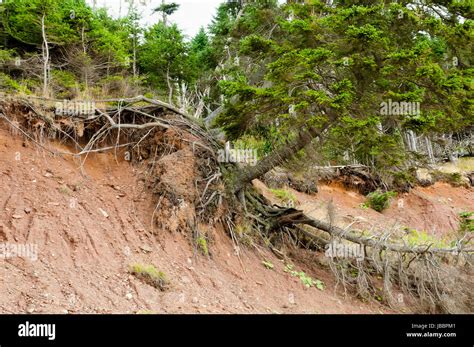 Landslide prevention hi-res stock photography and images - Alamy