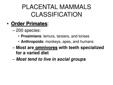 placental mammals classification powerpoint