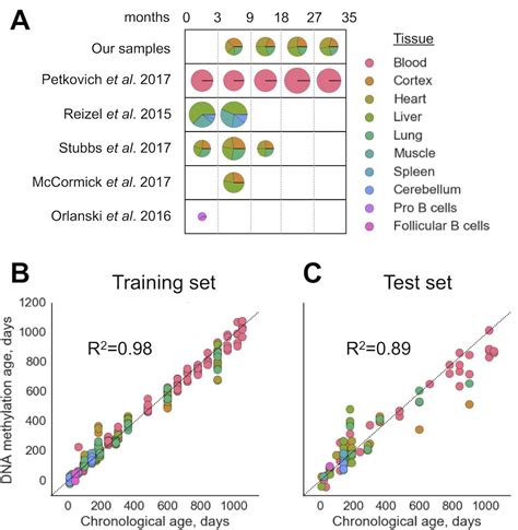 Figures And Data In A Whole Lifespan Mouse Multi Tissue Dna Methylation