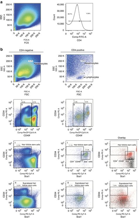 Flow Cytometric Analysis Of Keratinocytes Isolated From The Back Skin