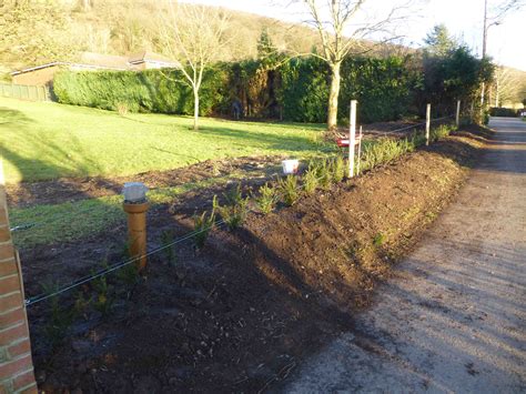 Front Yew Hedge | springdalegarden