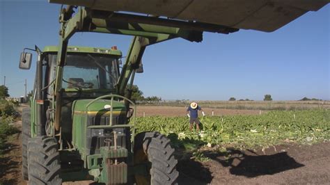 El sector agrario español convoca movilizaciones en todo el país por la