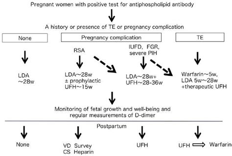 [pdf] The Management Of Antiphospholipid Antibodies Affected Pregnancy