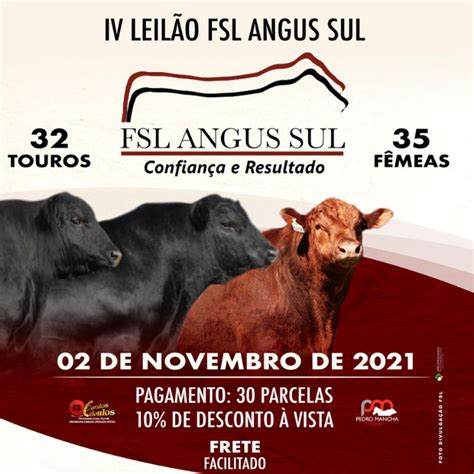 Fsl Angus Sul Oferta Exemplares Selecionados Angus Org