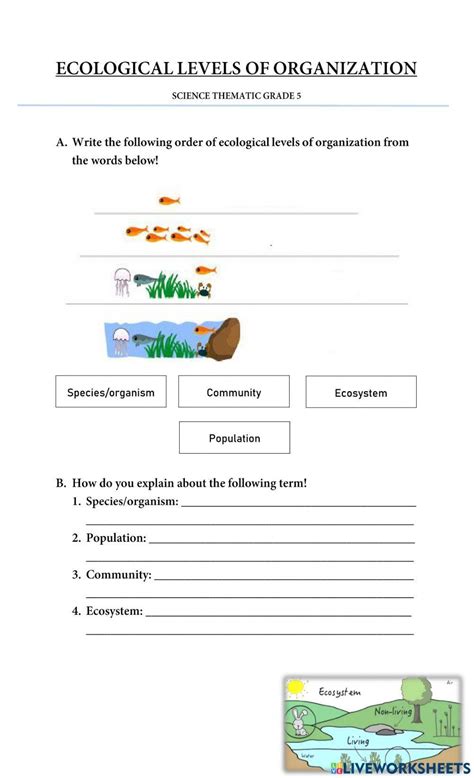 Ecosystem And Its Components Worksheet Live Worksheets Worksheets