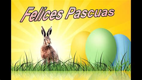 Saludos De Pascuas Para Whatsapp Felices Pascua Youtube