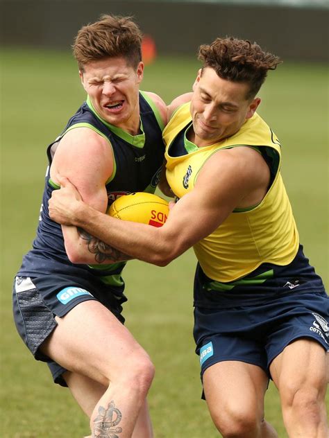 Afl Finals 2019 Geelong Cats V West Coast Cats Brutal Training