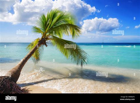 caribbean beach landscape Stock Photo - Alamy