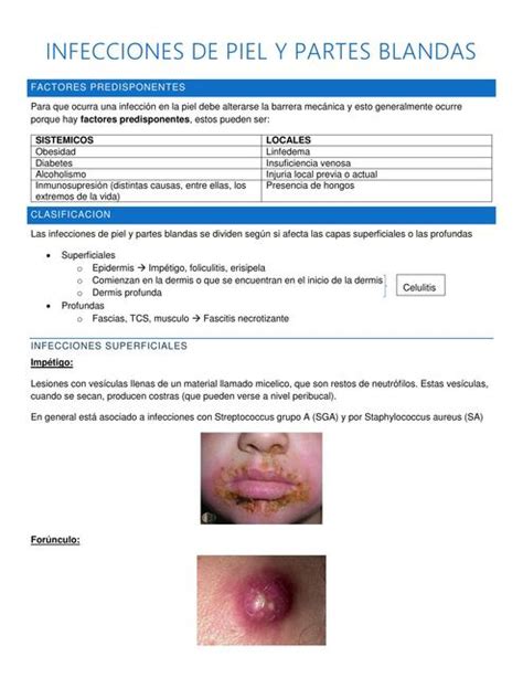 Infecciones De Piel Y Partes Blandas Fernando Pallares Udocz