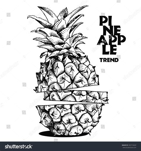 Image Slices Pineapple Fruit Vector Black Stock Vector Royalty Free 303710429 Shutterstock