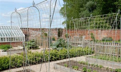 Why You Need To Choose The Best Metal Runner Bean Frame The Potager