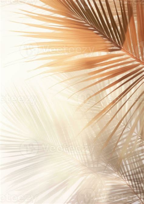 Tropical palm leaves background 27109658 Stock Photo at Vecteezy