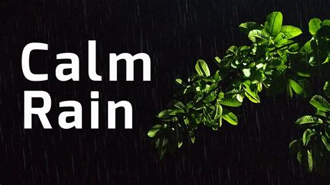 Calming Rain Sounds At Night Fall Asleep Instantly To The Gentle Rain