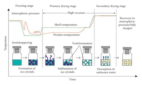 Lyophilization Process | Pharmaceuticals Index