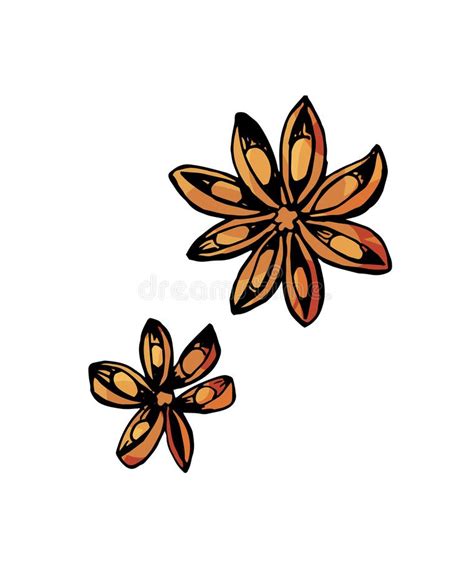 Set Of Hand Drawn Thyme Branches And Bunch Of Vector Illustrations