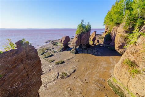 Hopewell Rocks at low tide stock photo. Image of beach - 135725348