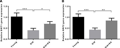 Effect Of Ellagic Acid Ea On Renal Level Of A Sirt And B Nrf Mrna