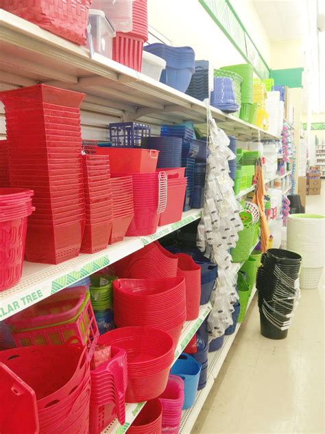 10+ Dollar Tree Organization Ideas