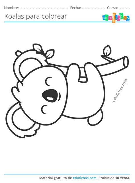 Dibujos De Koalas Para Colorear Descargar Gratis En Pdf