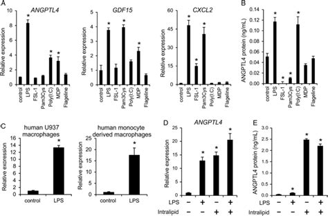 Inflammatory Stimuli Increase Angiopoietin Like Protein Angptl