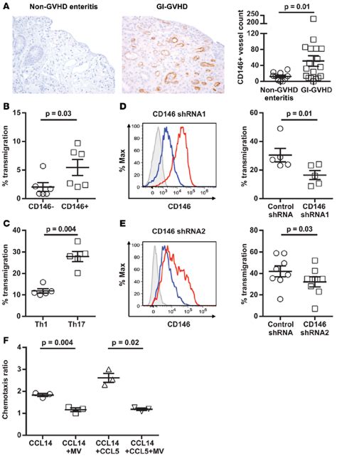 Endothelial Cd146 Expression In Gi Gvhd Colonic Biopsies Download