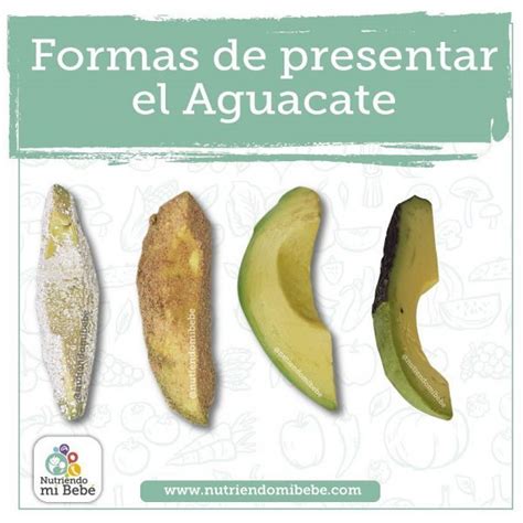 Nutriendo Mi Beb Formas De Dar El Aguacate A Los Beb S