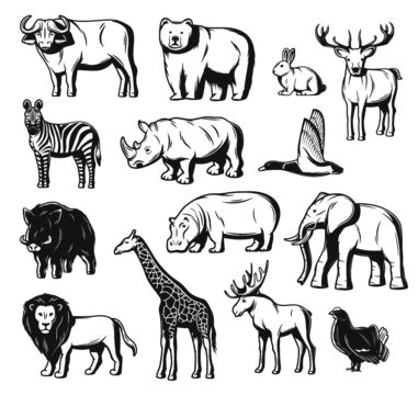 zoo animals  drawing png images pngtree