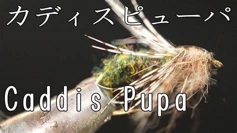 カディスピューパ Caddis Pupa Flytying フライタイイング Youtube