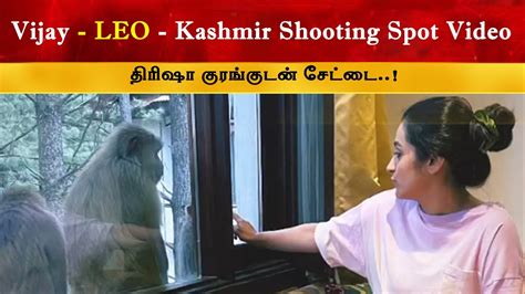 Trisha At Leo Kashmir Shooting Spot Thalapathy Vijay Lokesh